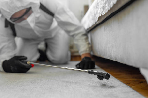 Professional Bed Bug Control technician working in Rock Creek, MN
