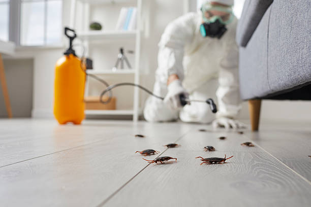 Trusted Fumigation Services service in Rock Creek, MN - Nex Pest Control