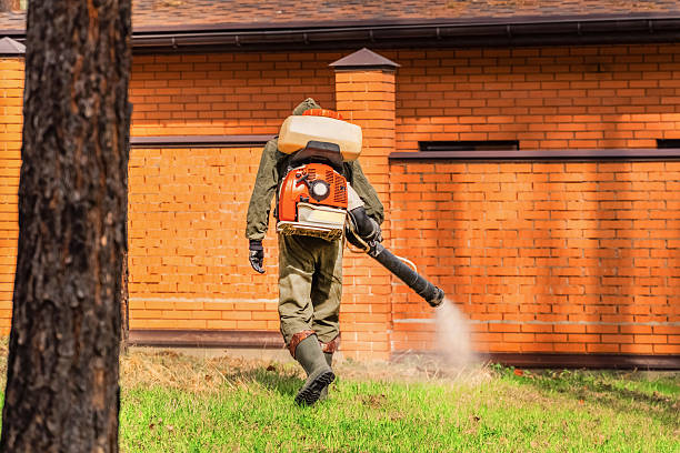 Trusted Mosquito Control service in Rock Creek, MN - Nex Pest Control